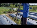 NO MORE BACK PAIN! MAKE PERFECT PLANTING HOLES EASILY WITH THIS SMART DEVICE! -Agriculture Gardening