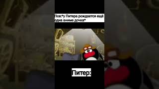 "Питеру не повезло"