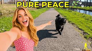 Why This Dutch Walk Doesn't Look Like Others | Prinsenpark 4K POV