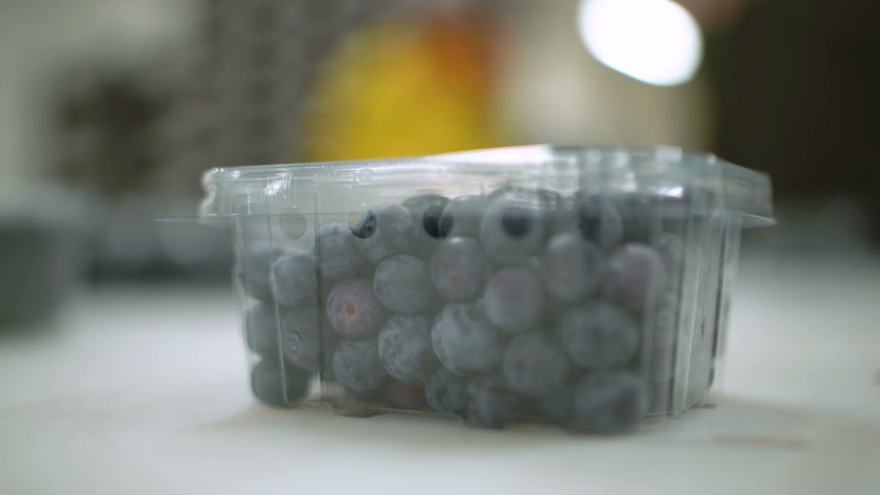 We pack Blueberries YouTube