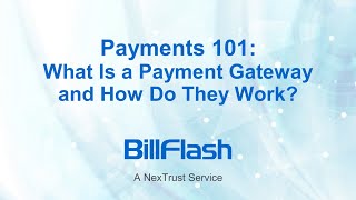 Payments 101: What is a Payment Gateway and How Do They Work?