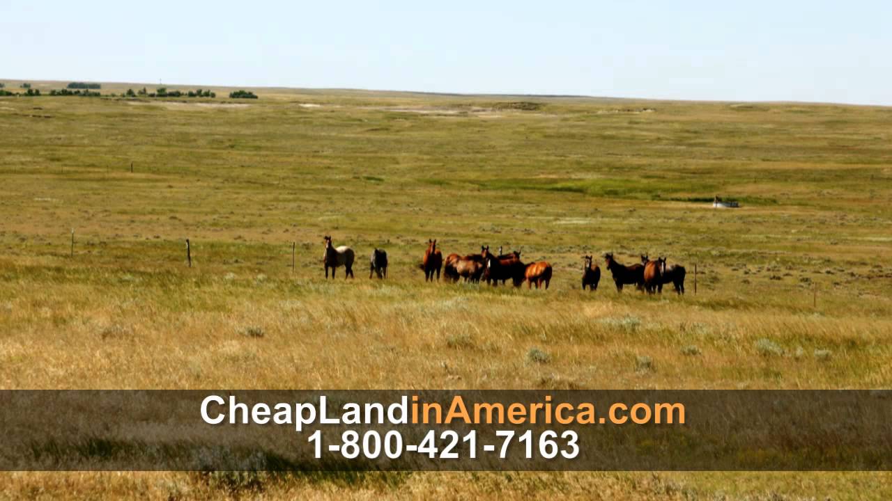 Video 1 Cheap Land in America YouTube