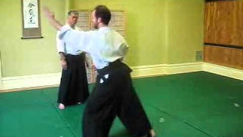 Empty Hand Strikes - AAA 6th Kyu Ki Test and Exercise