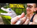 Meeting The Worlds Rarest Alligator!