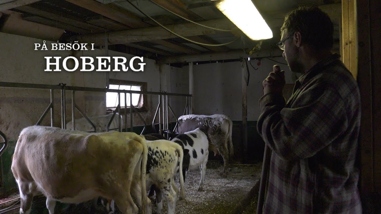 På besök i Hoberg