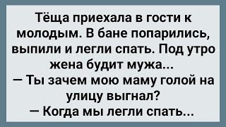 Зять Выгнал Тещу Без Трусов на Улицу! Сборник Свежих Анекдотов! Юмор!