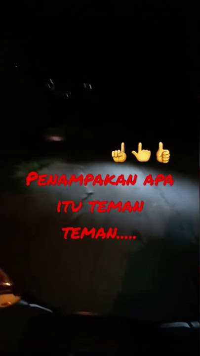 penampakan apa itu y....
