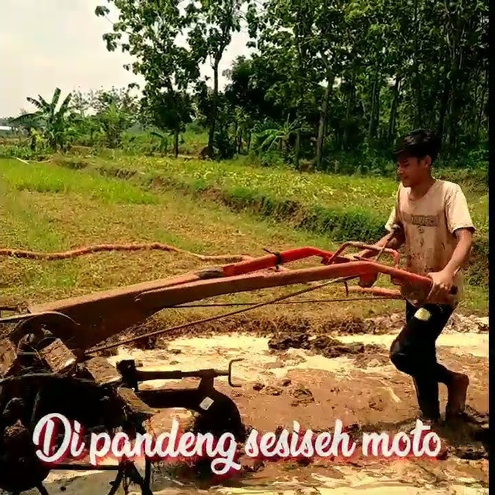 HISTORI WA WONG SEPELE// bikin sedih