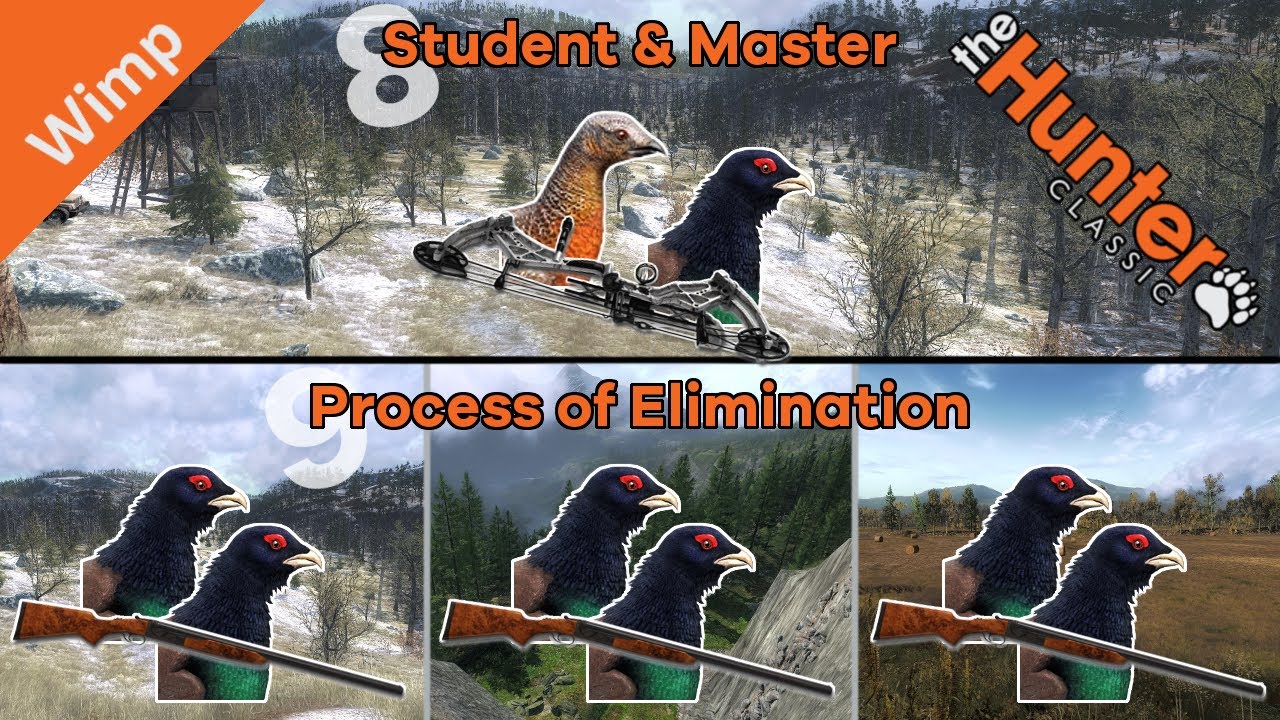 Wood Grouse Missions 8 & 9 theHunter Classic YouTube