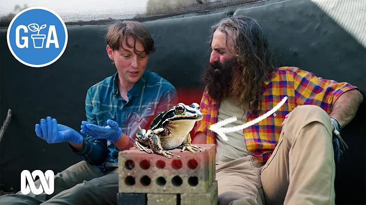 New Tool Saving Native Frogs | Beneficial animals and insects | Gardening Australia