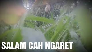 Orang pinggiran .. sedih !!! Story wa