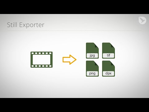 Still Exporter Quick Overview
