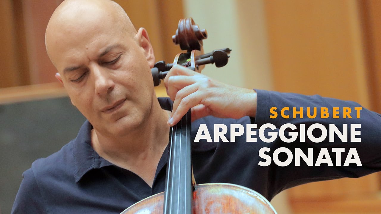Franz Schubert Sonata for Arpeggione and Piano in A minor D.821 - YouTube