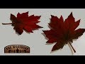 Woodturning Wooden Maple Leaf Turned And Airbrushed | Carl Jacobson