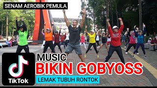 Download lagu SENAM AEROBIK DI GBK PAKAI MUSIK TIKTOK SEMUA IKUT GOYANG mp3