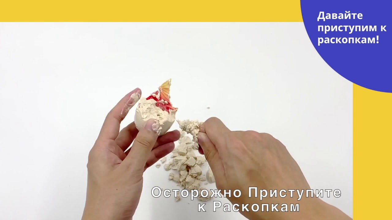 1toy Растем вместе: По следу динозавра (Т16223) купить в интернет-магазине, цена на Растем вместе: По следу динозавра (Т16223) 1toy Растем вместе: По следу динозавра (Т16223) купить в интернет-магазине, цена на Растем вместе: По следу динозавра (Т16223)