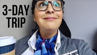 Flight Attendant Life - Worst Part of the Job!  |  VLOG 4, 2019