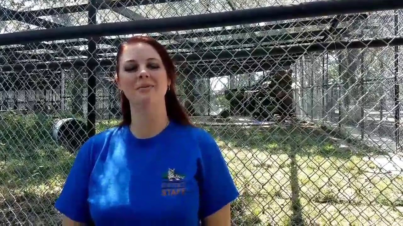 Chuff challenge! YouTube