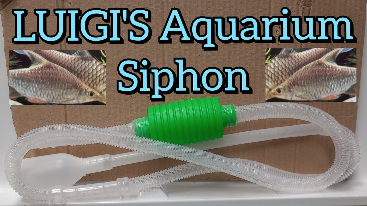 Luigi's Aquarium/Fish Tank Siphon and Gravel Cleaner - A Hand