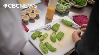 B.C. advocates applaud permanent national school food program and want more support