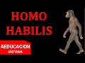 HOMO HABILIS - PREHISTORIA - AEDUCACION