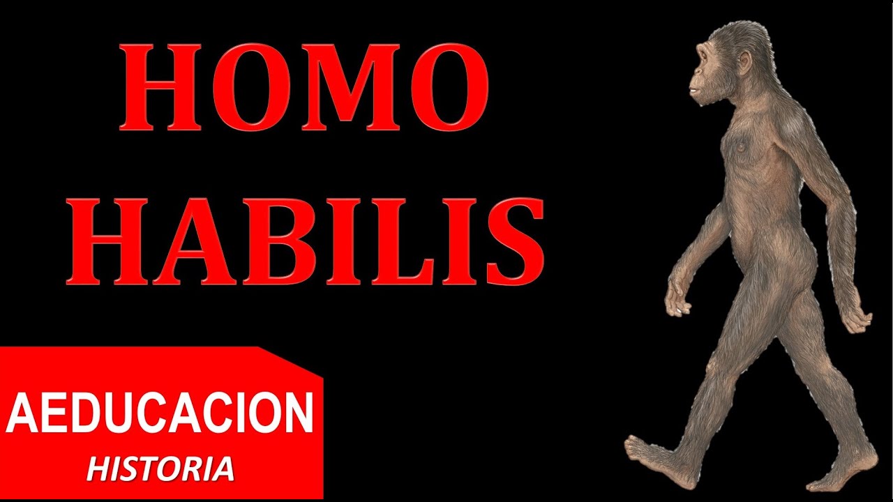 HOMO HABILIS - PREHISTORIA - AEDUCACION