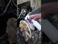 higienizacão em ar condicionado de janela