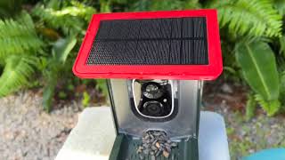 How to fill Heapets Solar Smart Bird Feeder with Bird Seed
