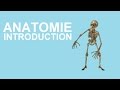 Anatomie 00 : Introduction