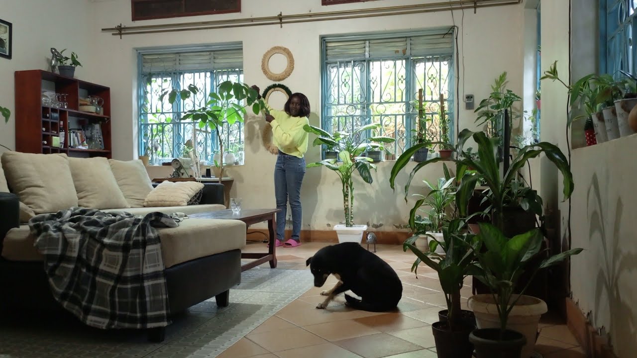 Экскурсия по небольшой коллекции комнатных растений в городе Кампала, Уганда 🇺🇬