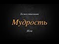 Божественная Мудрость – Иов. часть 2