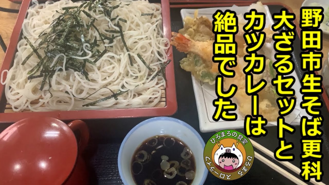 【千葉食堂】野田市の生そば更科でカツカレーと大ざるセットがお得だった