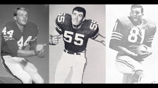 Anderson, Holub and Parks set for Ring of Honor Induction