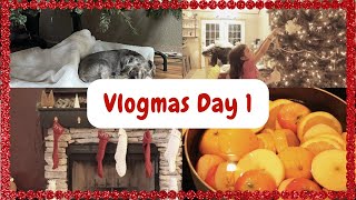 DECORATING THE HOUSE, TREE, FIREPLACE MANTLE &amp; TIKTOK REINDEER | VLOGMAS DAY 1