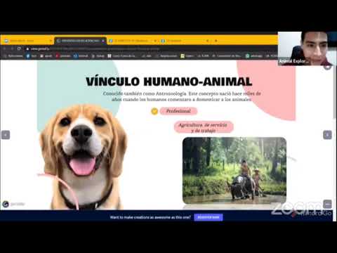 Video: ¿Alguna vez te has preguntado qué piensa realmente tu veterinario? Dr. Marty Becker traduce
