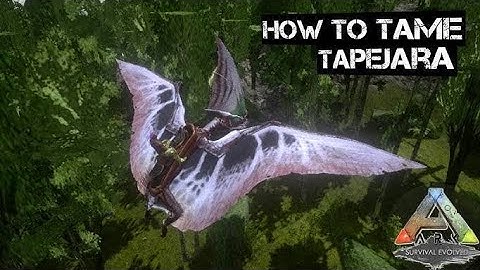 HOW TO TAME TAPEJARA IN ARK MOBILE | ARK SURVIVAL EVOLVED | GAMING HITEN