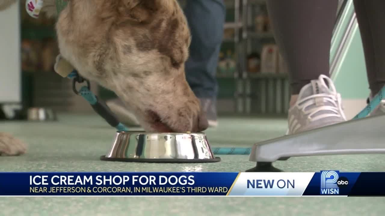 New ice cream shop for dogs opens in Milwaukee's Third Ward YouTube