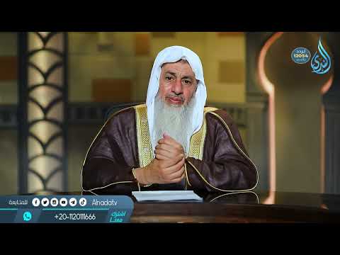 هل قتل النمل حرام الشيخ مصطفى العدوي