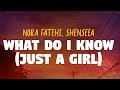Nora Fatehi Ft Shenseea What Do I Know Just A Girl Lyrics Nora Fatehi Ft Shenseea What Do I Know Just A Girl Lyrics