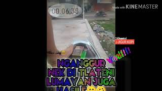 DJ Bisane Mung Nyawang Versi Story WhatsApp
