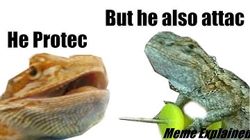 He Protec, But He Also Attac Memes Explained