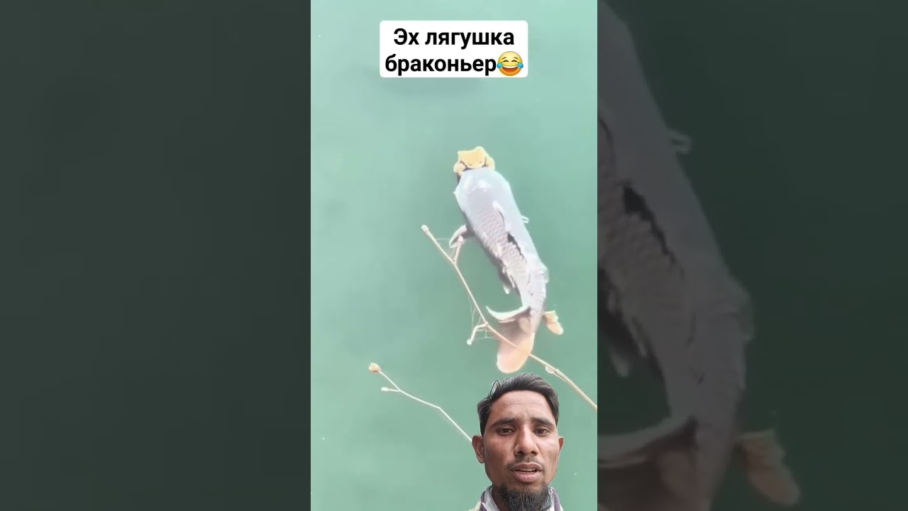 Fishing channel Machhali pakdane new technic tarika bilkul Machhi pakad Li shirt trending video