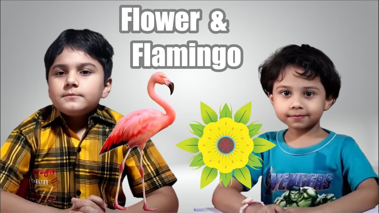 OZZY Kids Time || Building Flower and Flamingo with blocks || with Abdullah & Arisha