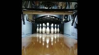 me cycling the pinsetter with gold bowling pins me cycling the pinsetter with gold bowling pins