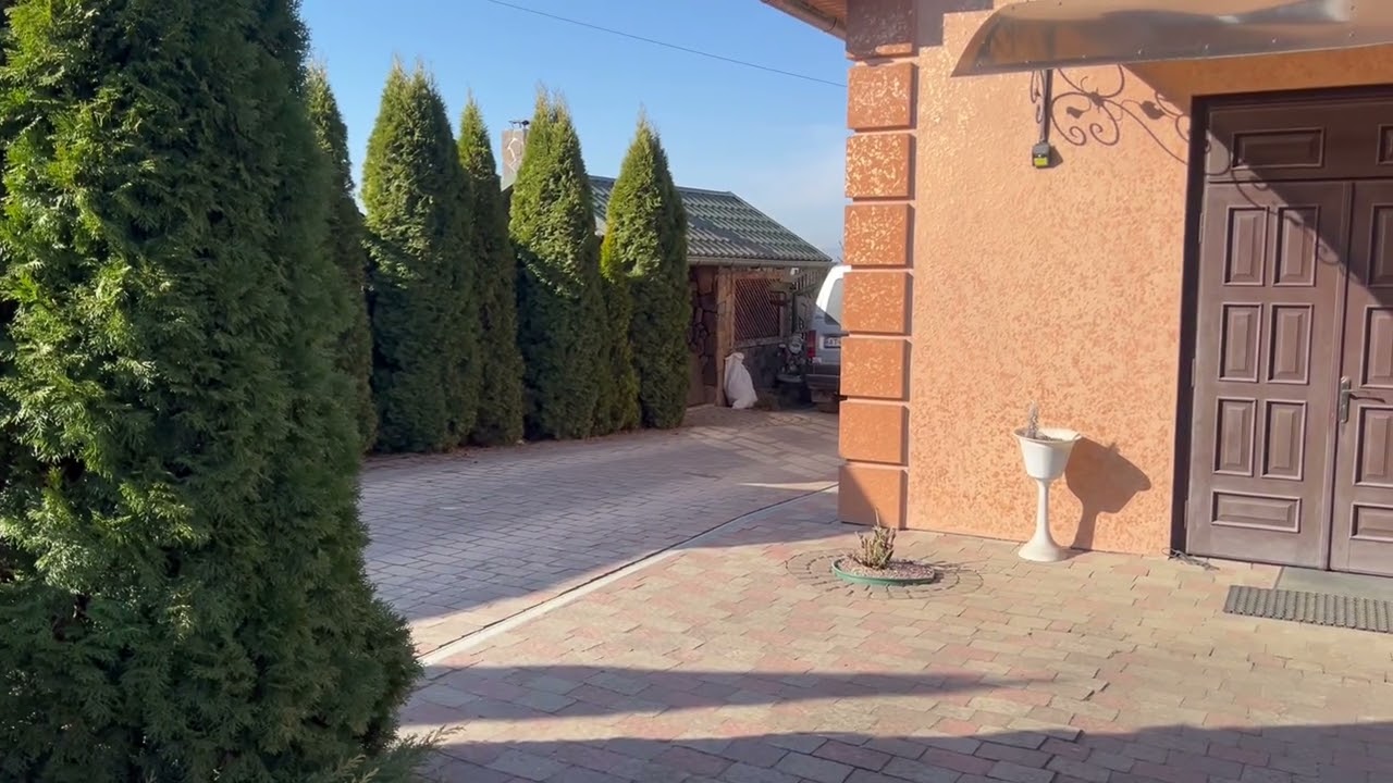 Шок😱🆘 Я знову знайшов собаку 🔥💯‼️#лайки #собака #люди #охота 