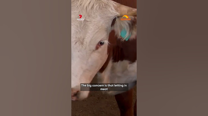 Farmers angry over government's beef imports backflip