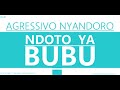 Agressivo Nyandoro - Ndoto ya Bubu (audio)