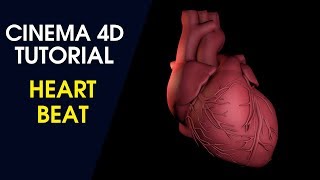 Heart Beat - Cinema 4D Tutorial