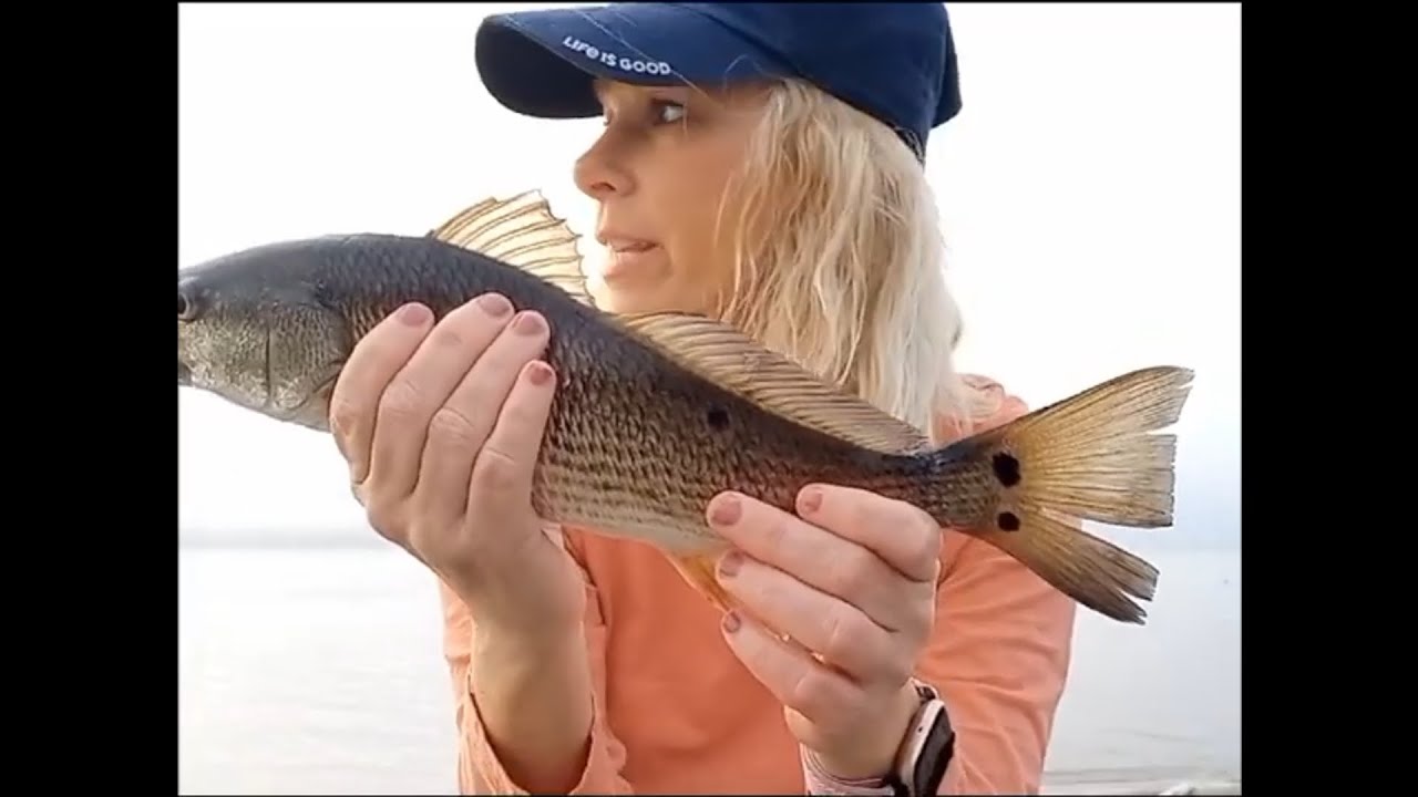 early-morning-dock-fishing-for-reds-doctors-lake-youtube