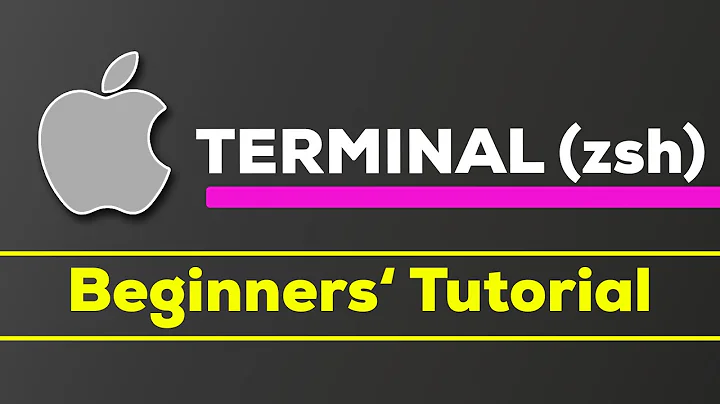 macOS Terminal (zsh) - The Beginners' Guide